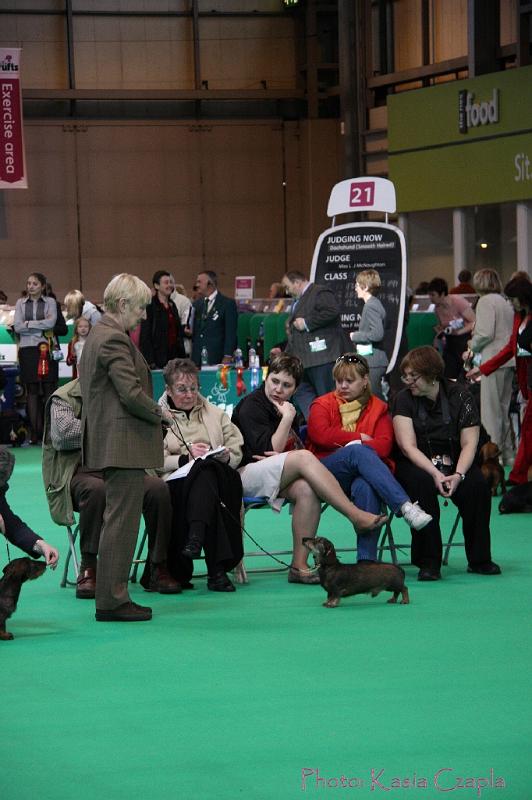 Crufts2011_2 942.jpg